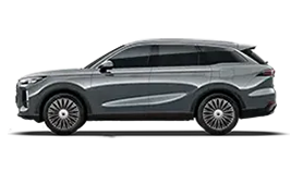 tiggo9